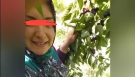 Türbanlı Derya
