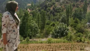 Olgun Türbanlı Arşivi